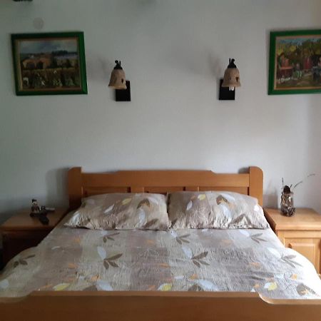 Ilkicev Kucerak Apartman Vrdnik Εξωτερικό φωτογραφία