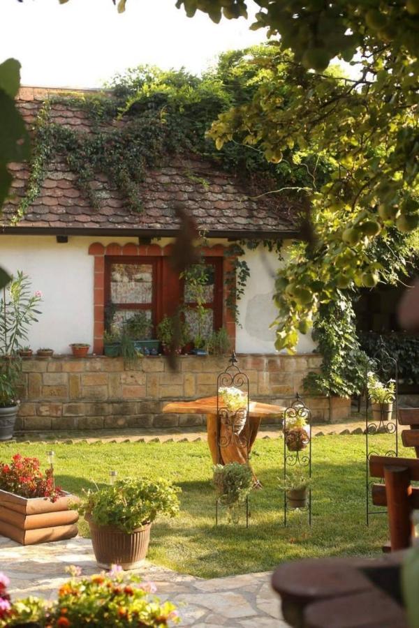 Ilkicev Kucerak Apartman Vrdnik Εξωτερικό φωτογραφία